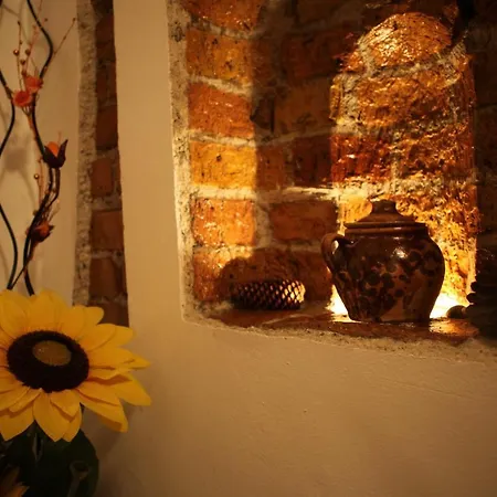Scandic Hostel *